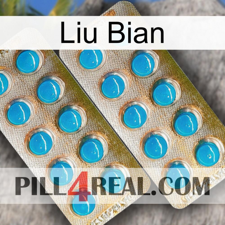 Liu Bian new08
